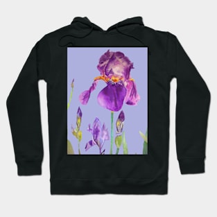 Iris Watercolor Painting - Elegant Purple on Light Purple Hoodie